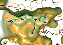 Graphical abstract: A successful collaboration between academia, biotech and pharma led to discovery of erdafitinib, a selective FGFR inhibitor recently approved by the FDA