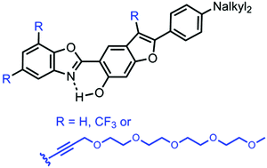 Graphical abstract: Excited-state intramolecular proton transfer (ESIPT) emitters based on a 2-(2′-hydroxybenzofuranyl)benzoxazole (HBBO) scaffold functionalised with oligo(ethylene glycol) (OEG) chains