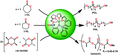 Graphical abstract: Alkali metal complex-mediated ring-opening polymerization of rac-LA, ε-caprolactone, and δ-valerolactone