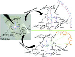 Graphical abstract: Synthesis of alumina-based cross-linked chitosan–HPMC biocomposite film: an efficient and user-friendly adsorbent for multipurpose water purification
