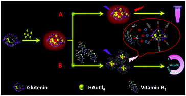 Graphical abstract: Glutenin-directed gold nanoclusters employed for assaying vitamin B1