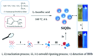 Graphical abstract: A facile synthesis of hybrid silicon quantum dots and fluorescent detection of bovine hemoglobin