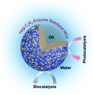 Graphical abstract: Fabrication of dual catalytic microcapsules by mesoporous graphitic carbon nitride (mpg-C3N4) nanoparticle–enzyme conjugate stabilized emulsions