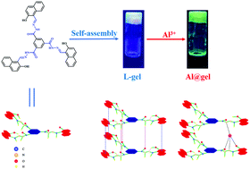 Graphical abstract: An acylhydrazone-based AIE organogel for the selective sensing of submicromolar level Al3+ and Al(iii)-based metallogel formation to detect oxalic acid
