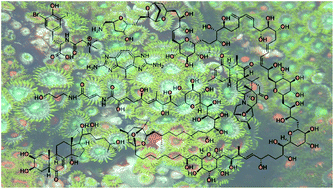 Graphical abstract: Marine natural products from zoantharians: bioactivity, biosynthesis, systematics, and ecological roles