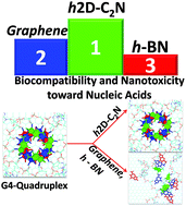 Graphical abstract: Screening two dimensional materials for the transportation and delivery of diverse genetic materials