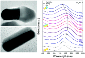 Graphical abstract: Asymmetric synthesis of Au–CdSe core–semishell nanorods for plasmon-enhanced visible-light-driven hydrogen evolution