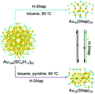Graphical abstract: Pyridine as a trigger in transformation chemistry from Au144(SR)60 to aromatic thiolate-ligated gold clusters
