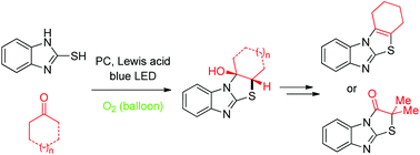 Graphical abstract: Photocatalytic aerobic α-thiolation/annulation of carbonyls with mercaptobenzimidazoles