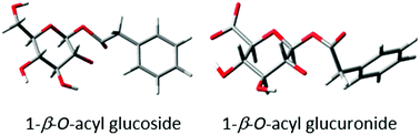 Graphical abstract: Kinetic modelling of acyl glucuronide and glucoside reactivity and development of structure–property relationships