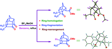 Graphical abstract: A new skeletal rearrangement of 1,7-dimethyl Cookson's cage dione catalyzed by a Lewis acid