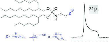 Graphical abstract: Branched lipid chains to prepare cationic amphiphiles producing hexagonal aggregates: supramolecular behavior and application to gene delivery