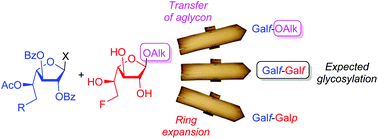 Graphical abstract: 6-Deoxy-6-fluoro galactofuranosides: regioselective glycosylation, unexpected reactivity, and anti-leishmanial activity
