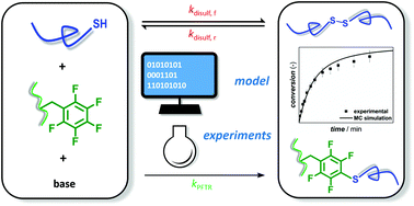 Graphical abstract: A kinetic study on the para-fluoro-thiol reaction in view of its use in materials design
