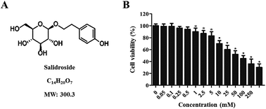 Graphical abstract: Salidroside inhibits the proliferation and migration of gastric carcinoma cells and tumor growth via the activation of ERS-dependent autophagy and apoptosis