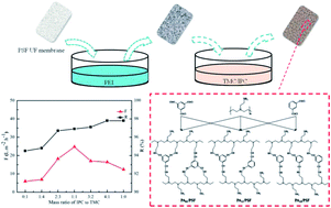 Graphical abstract: A novel positively charged composite nanofiltration membrane based on polyethyleneimine with a tunable active layer structure developed via interfacial polymerization