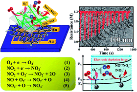 Graphical abstract: Expanded graphite/NiAl layered double hydroxide nanowires for ultra-sensitive, ultra-low detection limits and selective NOx gas detection at room temperature