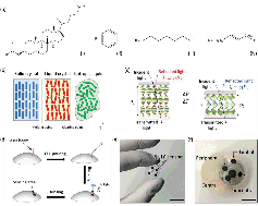 Graphical abstract: Contact lenses for continuous corneal temperature monitoring