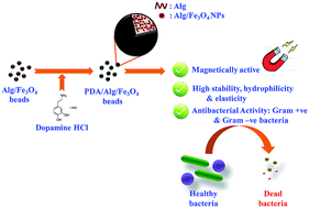 Graphical abstract: Polydopamine functionalized hydrogel beads as magnetically separable antibacterial materials