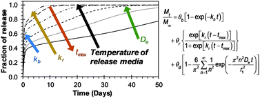 Graphical abstract: Mathematical modeling and parametrical analysis of the temperature dependency of control drug release from biodegradable nanoparticles