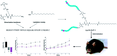 Graphical abstract: Novel mono-lipidated dimeric glucagon-like peptide-1 receptor agonist with improved long-acting and hypoglycemic activity
