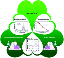 Graphical abstract: Multifunctional BiF3:Ln3+ (Ln = Ho, Er, Tm)/Yb3+ nanoparticles: an investigation on the emission color tuning, thermosensitivity, and bioimaging