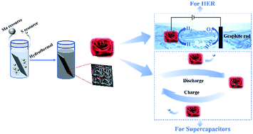 Graphical abstract: Rosette-like MoS2 nanoflowers as highly active and stable electrodes for hydrogen evolution reactions and supercapacitors