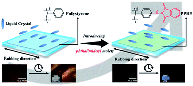 Graphical abstract: Enhanced, parallel liquid crystal alignment based on polystyrene substituted with phthalimidoyl groups