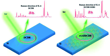 Graphical abstract: Sensitive Raman detection of human recombinant interleukin-6 mediated by DCDR/GERS hybrid platforms