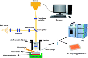 Graphical abstract: In situ 3D nanoscale advanced imaging algorithms with integrated chemical imaging for the characterisation of pharmaceuticals