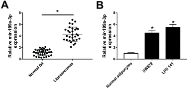 Graphical abstract: Retracted Article: miR-199a-3p knockdown inhibits dedifferentiated liposarcoma (DDLPS) cell viability and enhances apoptosis through targeting casein kinase-1 alpha (CK1α)