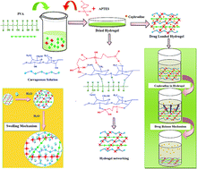 Graphical abstract: Fabrication of novel carrageenan based stimuli responsive injectable hydrogels for controlled release of cephradine