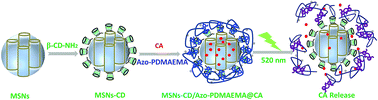 Graphical abstract: Visible-light-triggered supramolecular valves based on β-cyclodextrin-modified mesoporous silica nanoparticles for controlled drug release