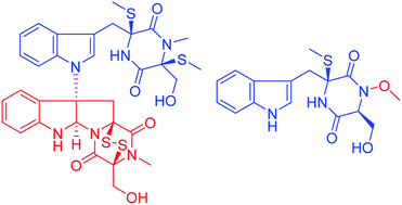 Graphical abstract: Cytotoxic metabolites from the endophytic fungus Chaetomium globosum 7951
