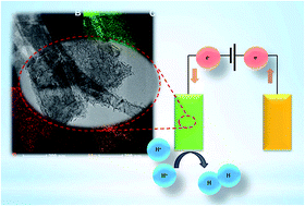 Graphical abstract: Toward heterostructured transition metal hybrids with highly promoted electrochemical hydrogen evolution