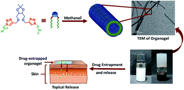 Graphical abstract: Supramolecular gels from sugar-linked triazole amphiphiles for drug entrapment and release for topical application