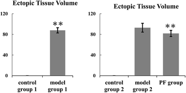 Graphical abstract: Exploring the pharmacological effects and potential targets of paeoniflorin on the endometriosis of cold coagulation and blood stasis model rats by ultra-performance liquid chromatography tandem mass spectrometry with a pattern recognition approach