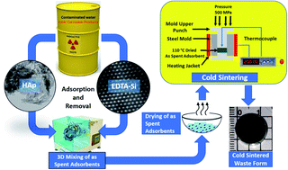 Graphical abstract: Efficient immobilization of ionic corrosion products by a silica-hydroxyapatite composite via a cold sintering route