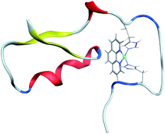 Graphical abstract: Replica exchange molecular dynamics simulation of the coordination of Pt(ii)-Phenanthroline to amyloid-β