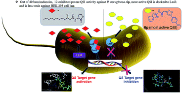 Graphical abstract: Design, synthesis and biological evaluation of 1,2,3-triazole based 2-aminobenzimidazoles as novel inhibitors of LasR dependent quorum sensing in Pseudomonas aeruginosa
