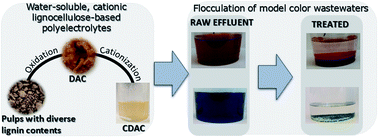 Graphical abstract: Cationization of Eucalyptus wood waste pulps with diverse lignin contents for potential application in colored wastewater treatment