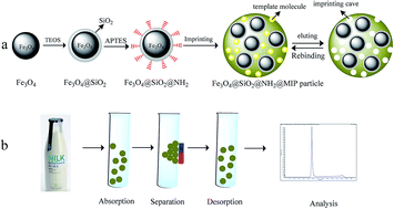 Graphical abstract: Magnetic molecularly imprinted polymers for the detection of aminopyralid in milk using dispersive solid-phase extraction