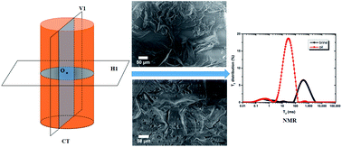 Graphical abstract: Microscopic investigations on the healing and softening of damaged salt by uniaxial deformation from CT, SEM and NMR: effect of fluids (brine and oil)