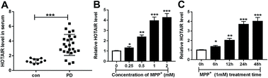 Graphical abstract: Retracted Article: Long noncoding RNA HOTAIR promotes cell apoptosis by sponging miR-221 in Parkinson's disease
