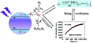 Graphical abstract: A formation model of superoxide radicals photogenerated in nano-TiO2 suspensions