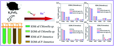 Graphical abstract: Evaluation of disinfection byproduct formation from extra- and intra-cellular algal organic matters during chlorination after Fe(vi) oxidation