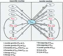 Graphical abstract: An improved ASM-GDA approach to evaluate the production kinetics of loosely bound and tightly bound extracellular polymeric substances in biological phosphorus removal process