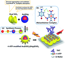 Graphical abstract: Interfacial effect of dual ultra-thin SiO2 core–triple shell Au@SiO2@Ag@SiO2 for ultra-sensitive trinitrotoluene (TNT) detection