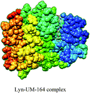 Graphical abstract: An analogue of a kinase inhibitor exhibits subjective characteristics that contribute to its inhibitory activities as a potential anti-cancer candidate: insights through computational biomolecular modelling of UM-164 binding with lyn protein