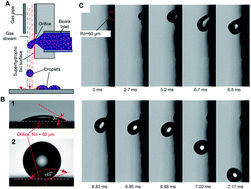 Graphical abstract: Pneumatic conveying printing technique for bioprinting applications